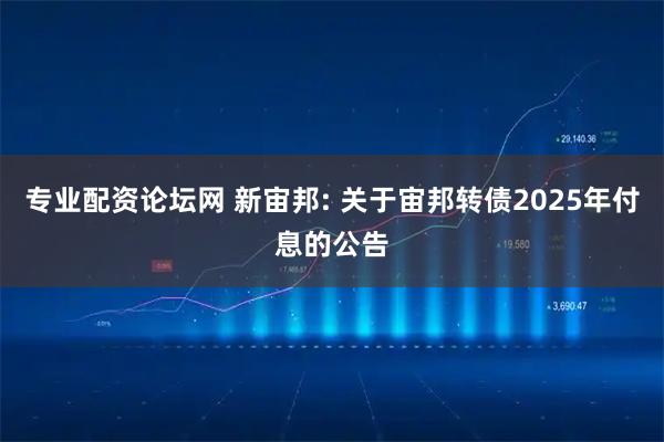 专业配资论坛网 新宙邦: 关于宙邦转债2025年付息的公告